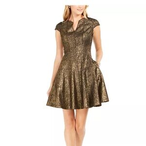 Julia Robert’s Metallic Jacquard Fit & Flair
Dress Size 8 Gold & Black NWT